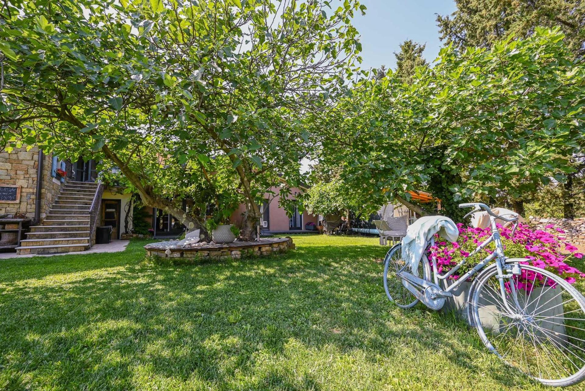 Apartma Medosi Ізола Екстер'єр фото